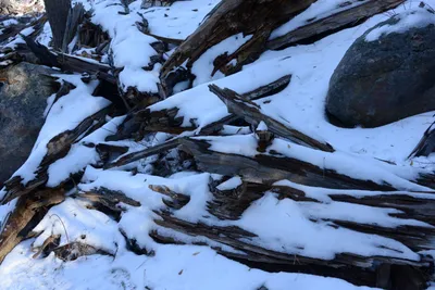 DSC_5203 (Large).JPG